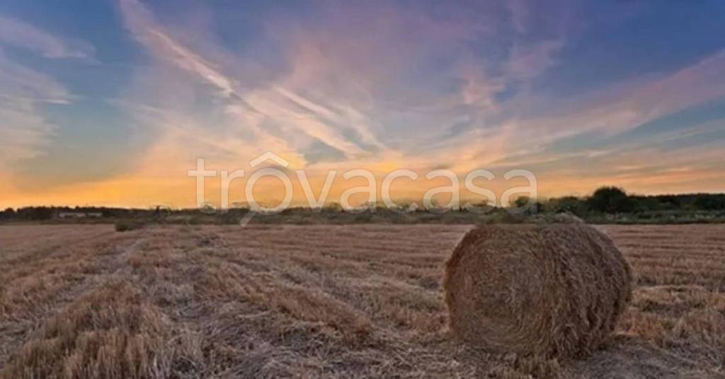 terreno agricolo in vendita a Palagiano