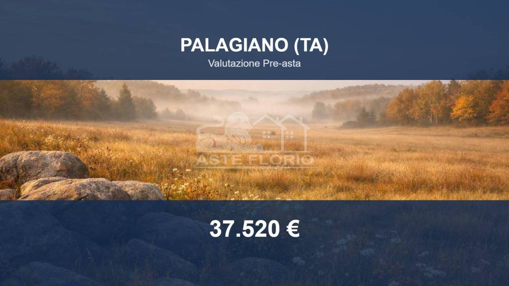 terreno agricolo in vendita a Palagiano
