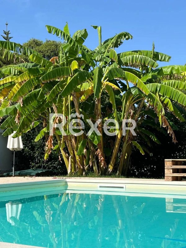 casa indipendente in vendita a Palagiano in zona Chiatona