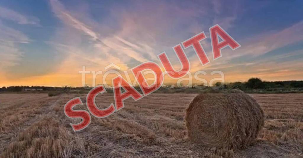 terreno edificabile in vendita a Palagiano