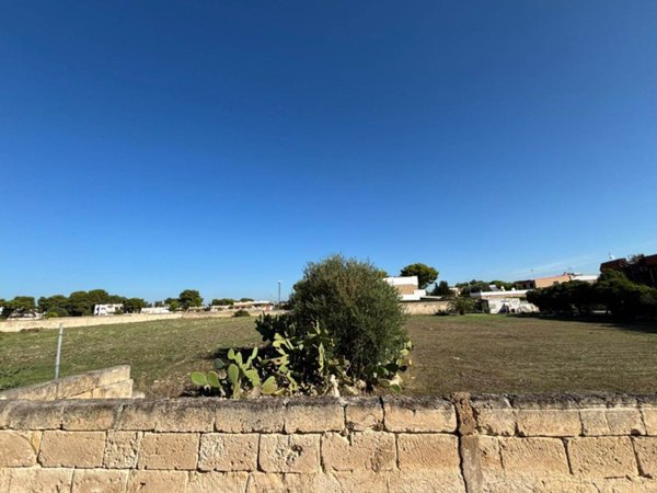 terreno agricolo in vendita a Pulsano