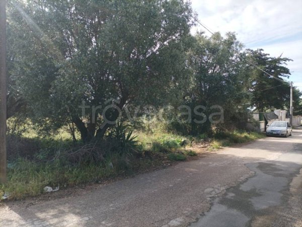 terreno agricolo in vendita a Pulsano in zona Marina di Pulsano