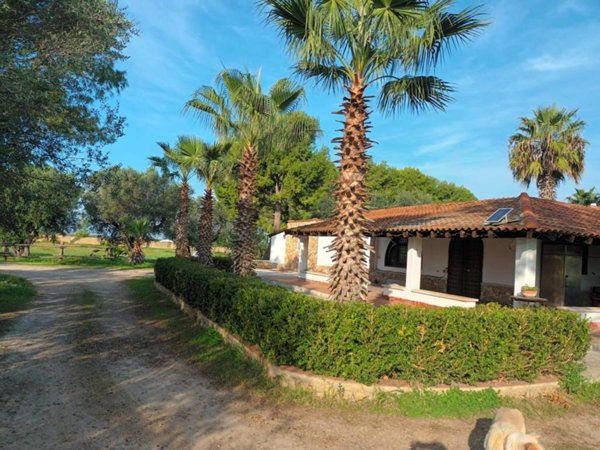 terreno agricolo in vendita a Pulsano in zona Marina di Pulsano