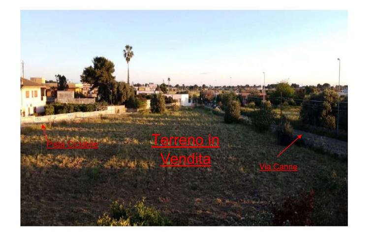 terreno agricolo in vendita a Pulsano in zona Marina di Pulsano