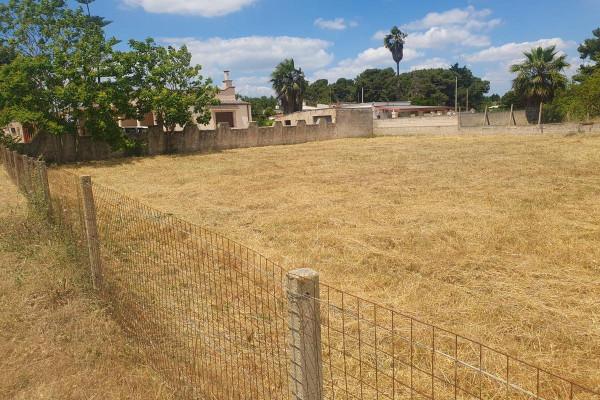 terreno agricolo in vendita a Pulsano