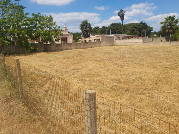 terreno agricolo in vendita a Pulsano