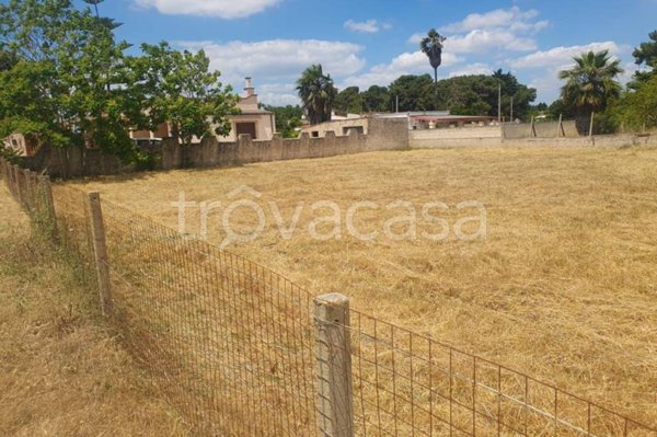 terreno agricolo in vendita a Pulsano