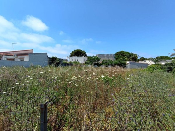 terreno agricolo in vendita a Pulsano in zona Marina di Pulsano