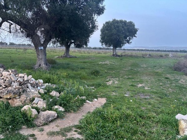 terreno agricolo in vendita a Pulsano