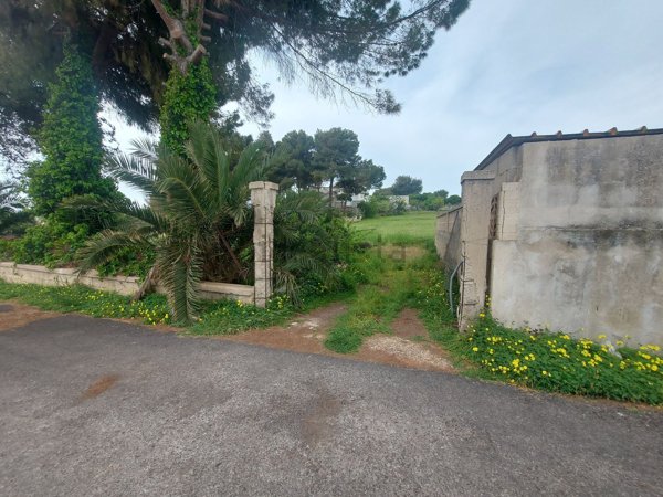 terreno agricolo in vendita a Pulsano