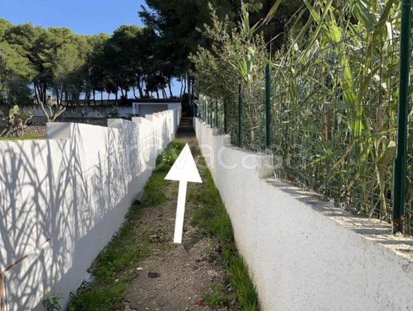 terreno agricolo in vendita a Pulsano