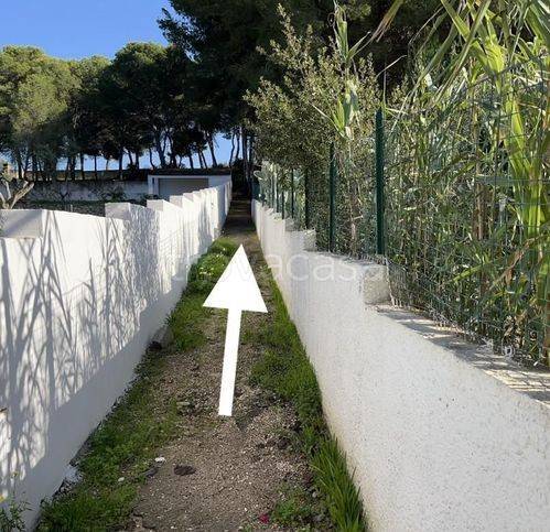 terreno agricolo in vendita a Pulsano