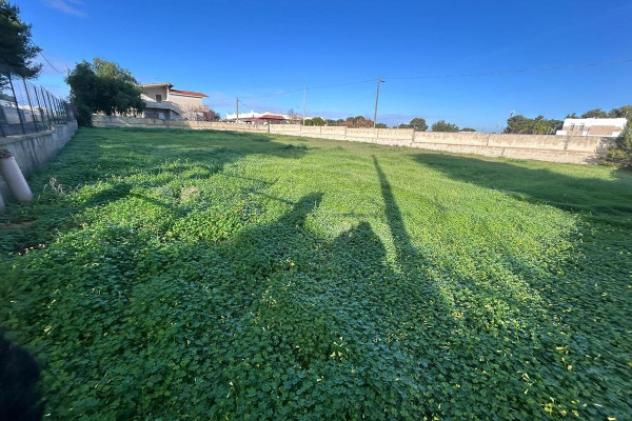 terreno agricolo in vendita a Pulsano in zona Marina di Pulsano