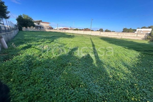 terreno agricolo in vendita a Pulsano in zona Marina di Pulsano