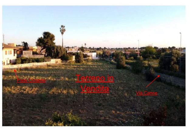 terreno agricolo in vendita a Pulsano