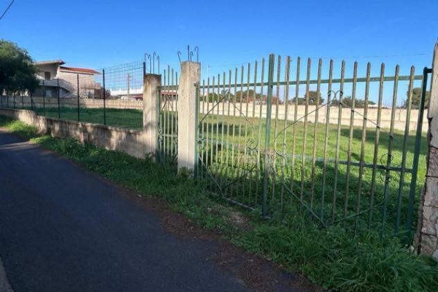 terreno agricolo in vendita a Pulsano
