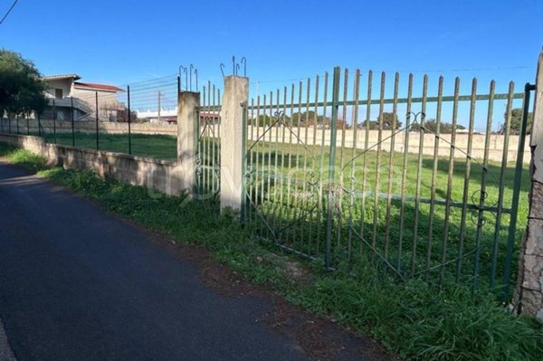 terreno agricolo in vendita a Pulsano in zona Marina di Pulsano