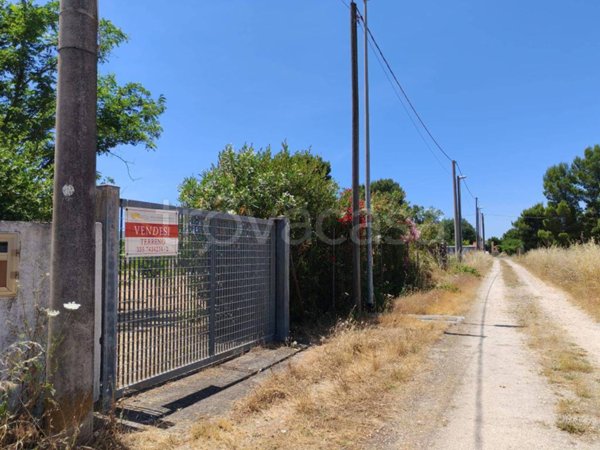 terreno agricolo in vendita a Pulsano in zona Marina di Pulsano