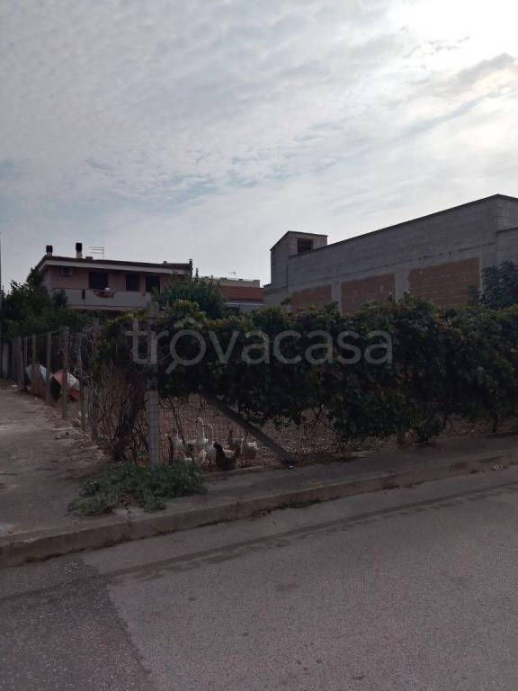 terreno edificabile in vendita a San Giorgio Ionico