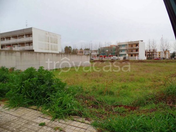 terreno agricolo in vendita a San Giorgio Ionico