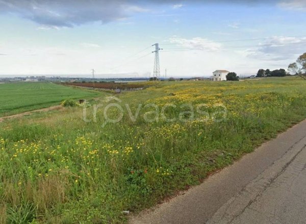 terreno agricolo in vendita a San Giorgio Ionico in zona San Giovanni