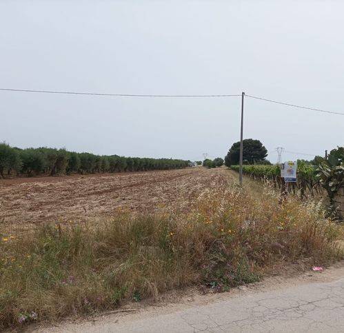 terreno edificabile in vendita a San Giorgio Ionico