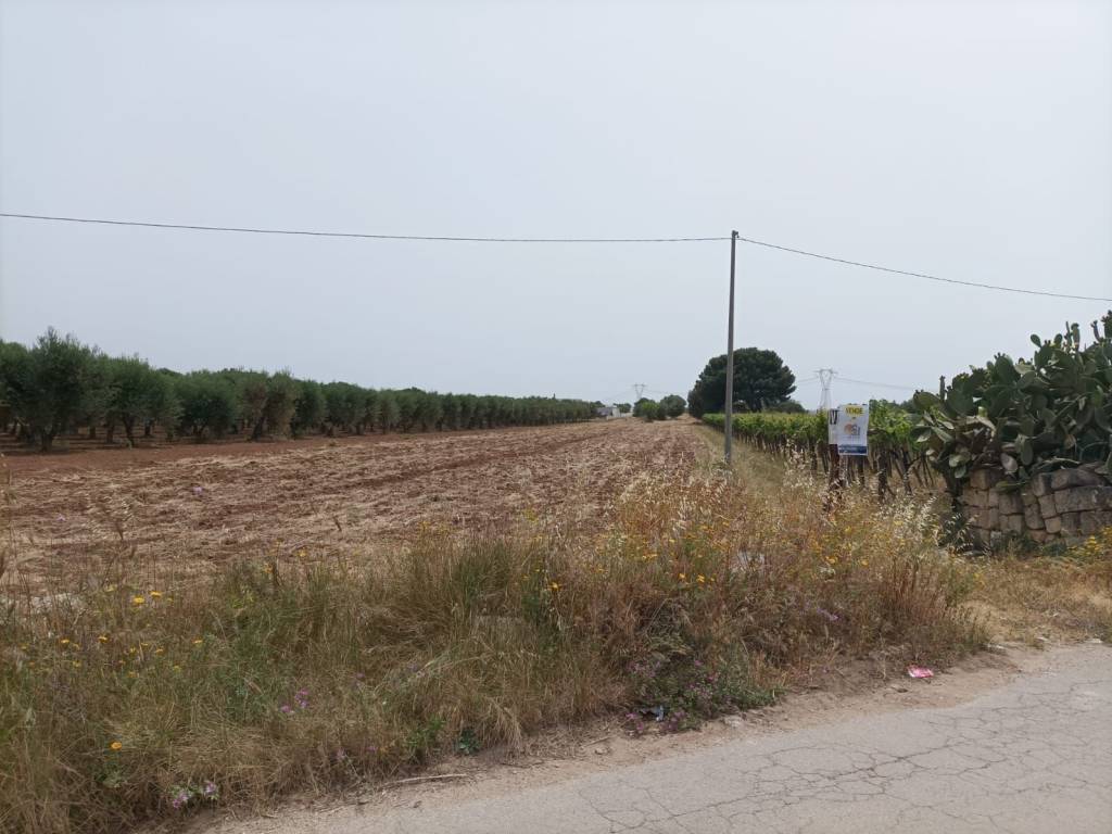 terreno edificabile in vendita a San Giorgio Ionico
