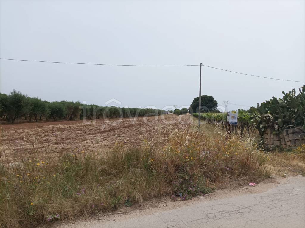 terreno edificabile in vendita a San Giorgio Ionico
