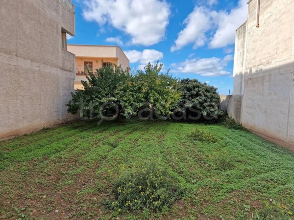 terreno agricolo in vendita a San Giorgio Ionico