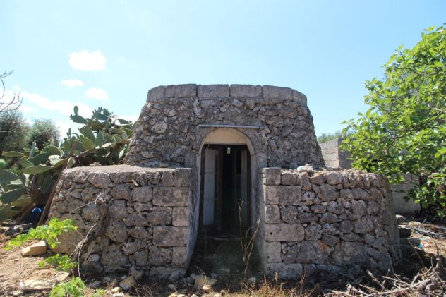 terreno agricolo in vendita a San Marzano di San Giuseppe