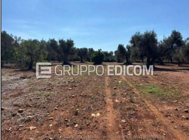 casale in vendita a San Marzano di San Giuseppe