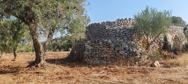 terreno agricolo in vendita a San Marzano di San Giuseppe
