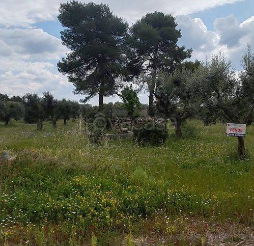 casa indipendente in vendita a San Marzano di San Giuseppe