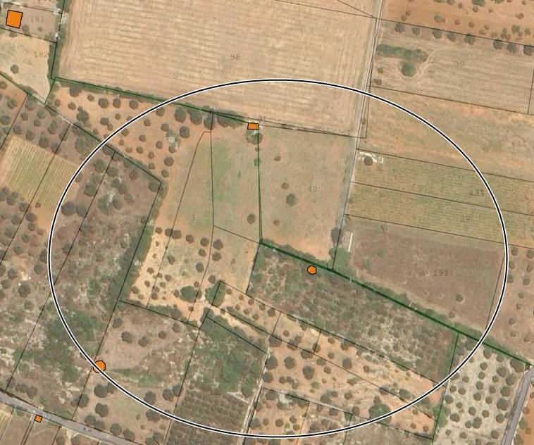 terreno agricolo in vendita a Sava