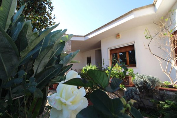 casa indipendente in vendita a Sava