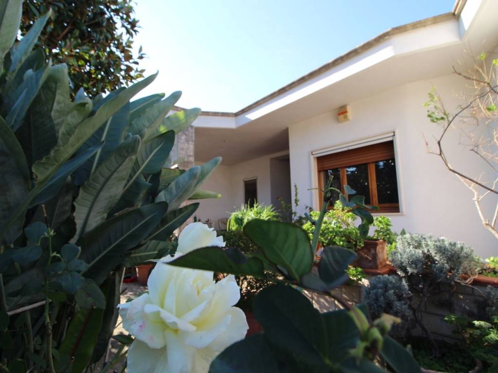 casa indipendente in vendita a Sava