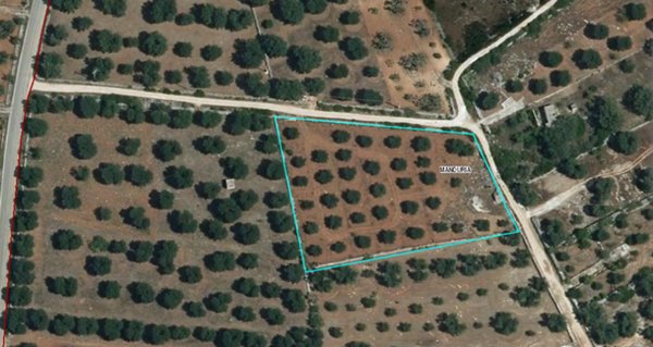 terreno agricolo in vendita a Sava