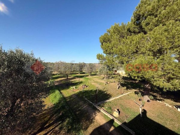 casa indipendente in vendita a Sava