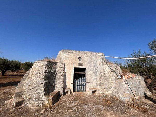 terreno agricolo in vendita a Sava