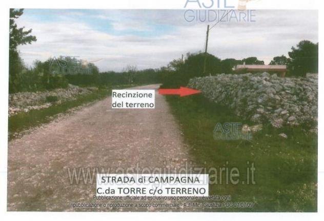 terreno agricolo in vendita a Sava