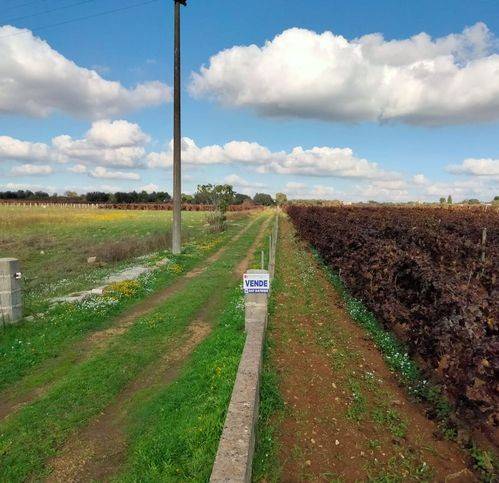 terreno agricolo in vendita a Sava
