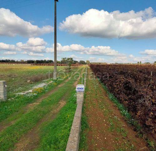 terreno agricolo in vendita a Sava