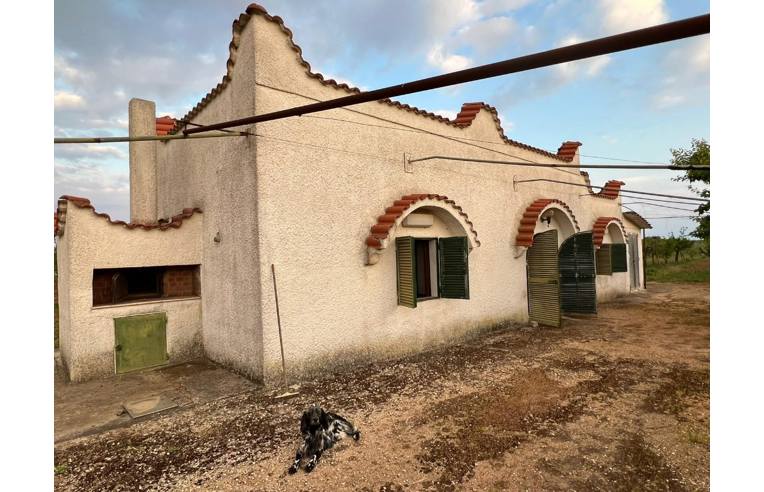 terreno agricolo in vendita a Sava