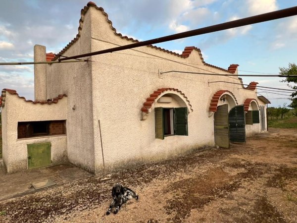 terreno agricolo in vendita a Sava