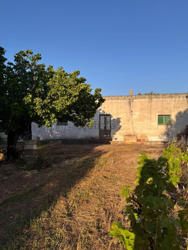 casa indipendente in vendita a Sava