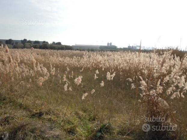 terreno agricolo in vendita a Taranto in zona Tamburi-Croce