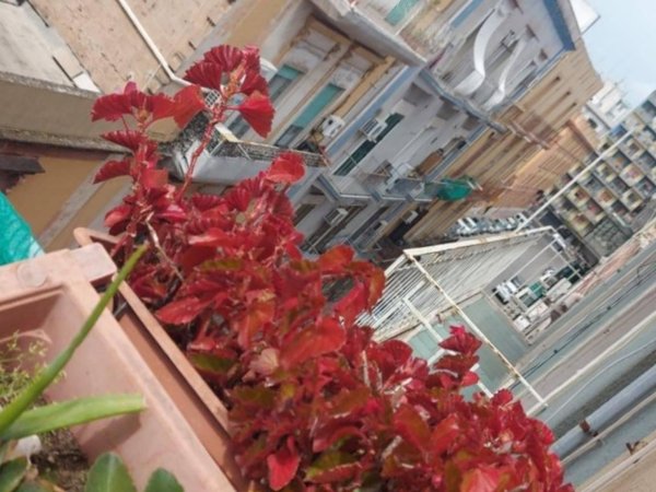 appartamento in vendita a Taranto in zona Tre Carrare-Battisti