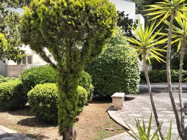 appartamento in vendita a Taranto in zona Solito-Corvisea