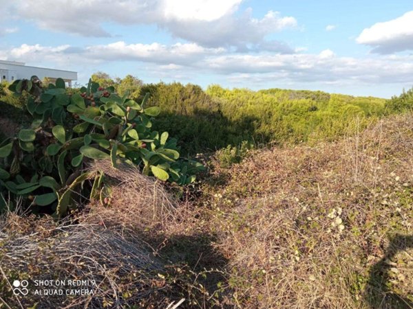 terreno agricolo in vendita a Taranto in zona Solito-Corvisea