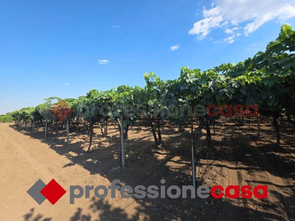 terreno agricolo in vendita a Taranto in zona Solito-Corvisea